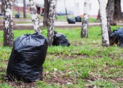 День благоустройства: 24 октября