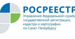 В Управлении Росреестра прошла горячая линия
